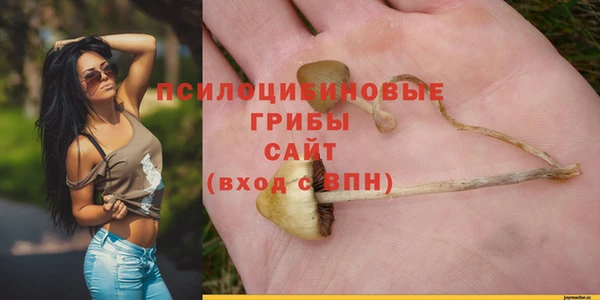 2c-b Лихославль