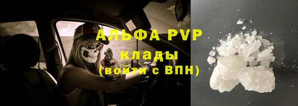 стафф Лабытнанги