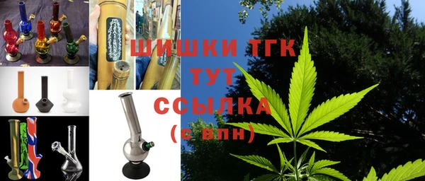 индика Ладушкин