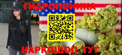 винт Канаш