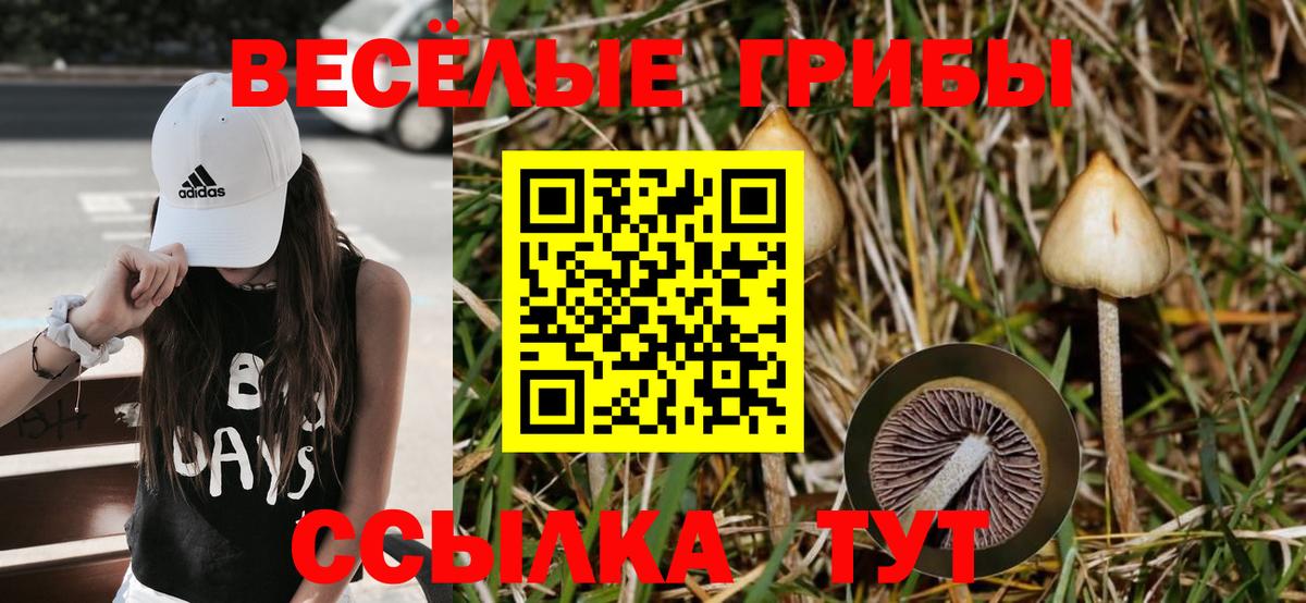 Галлюциногенные грибы мухоморы Ростов-на-Дону