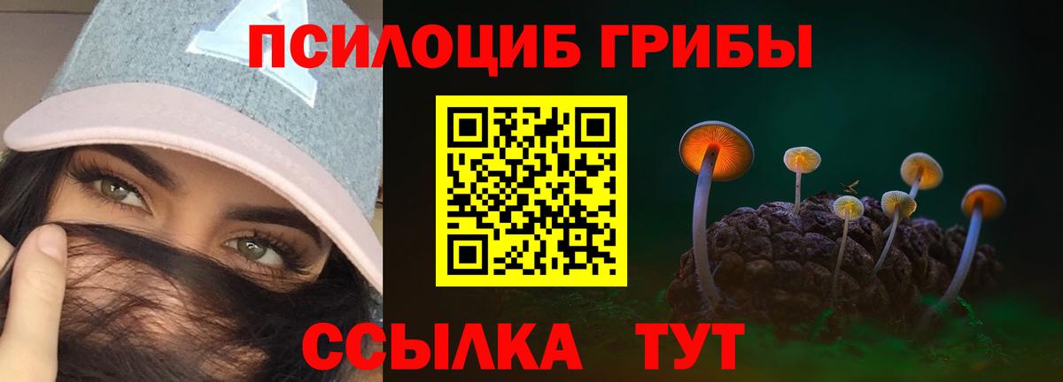 Псилоцибиновые грибы Magic Shrooms Ростов-на-Дону